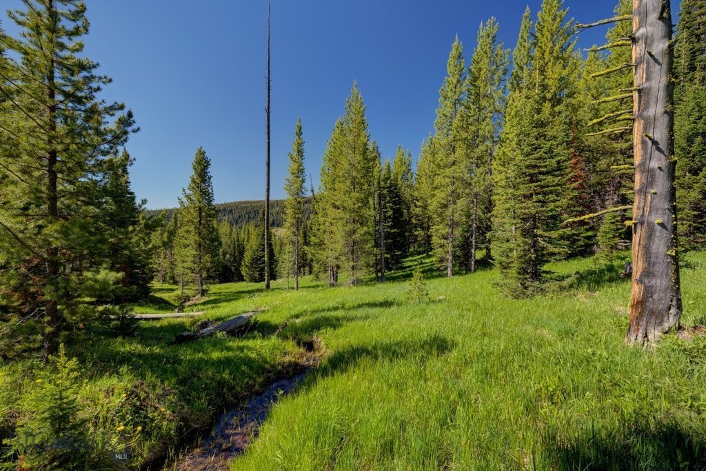 Big Sky, Montana, 59716, United States, ,Land,Forsale,1915010