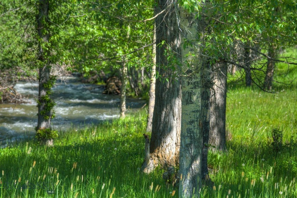 Bozeman, Montana, 59718, United States, ,Land,Forsale,1944293
