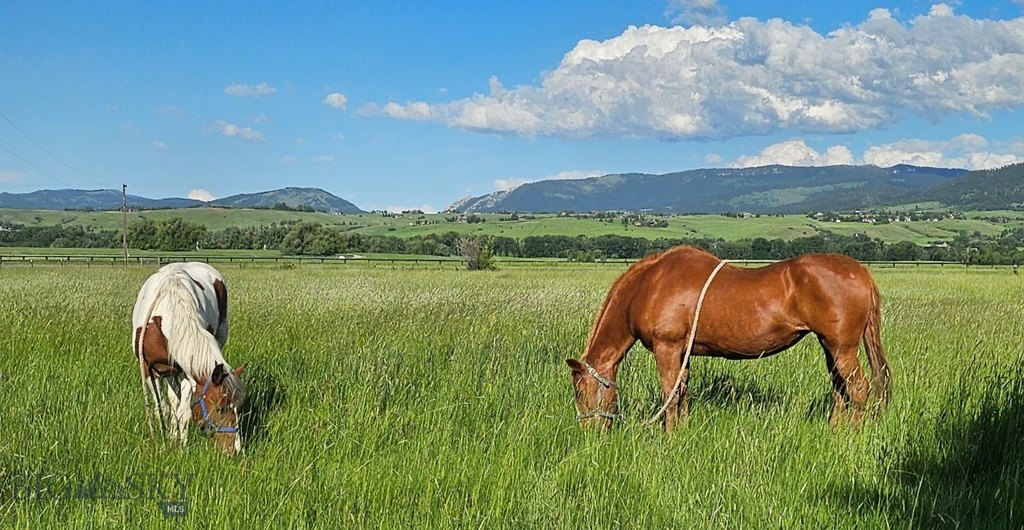Bozeman, Montana, 59715, United States, 4 Bedrooms Bedrooms, ,2 BathroomsBathrooms,Residential,Forsale,1894913