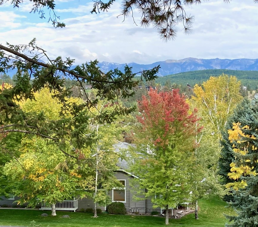Bigfork, Montana, 59911, United States, 2 Bedrooms Bedrooms, ,2 BathroomsBathrooms,Residential,Forsale,1944322