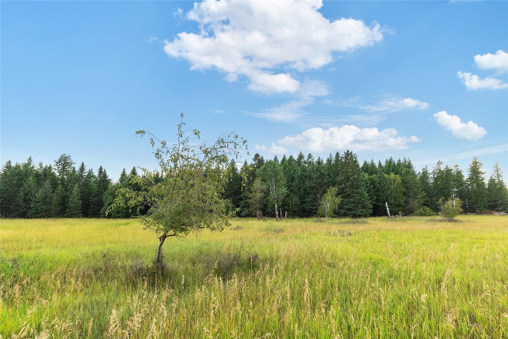 Columbia Falls, Montana, 59912, United States, ,Land,Forsale,1944321