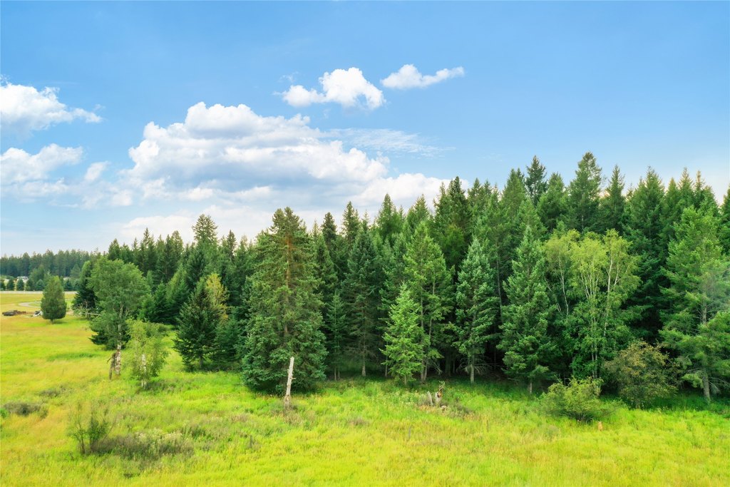 Columbia Falls, Montana, 59912, United States, ,Land,Forsale,1944321
