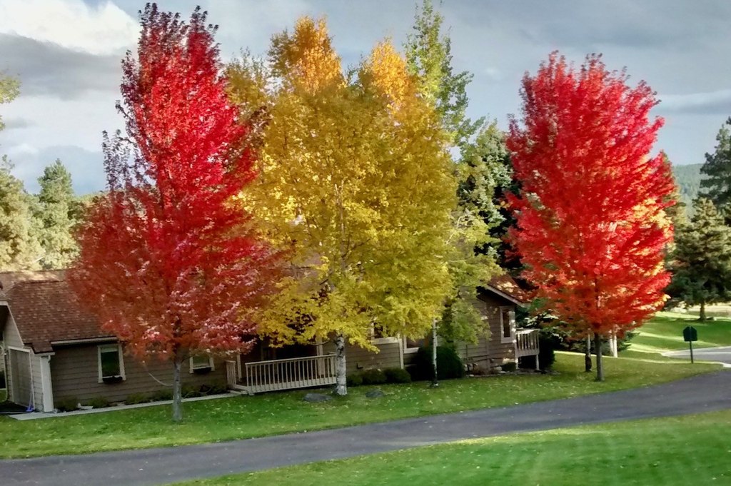 Bigfork, Montana, 59911, United States, 2 Bedrooms Bedrooms, ,2 BathroomsBathrooms,Residential,Forsale,1944322