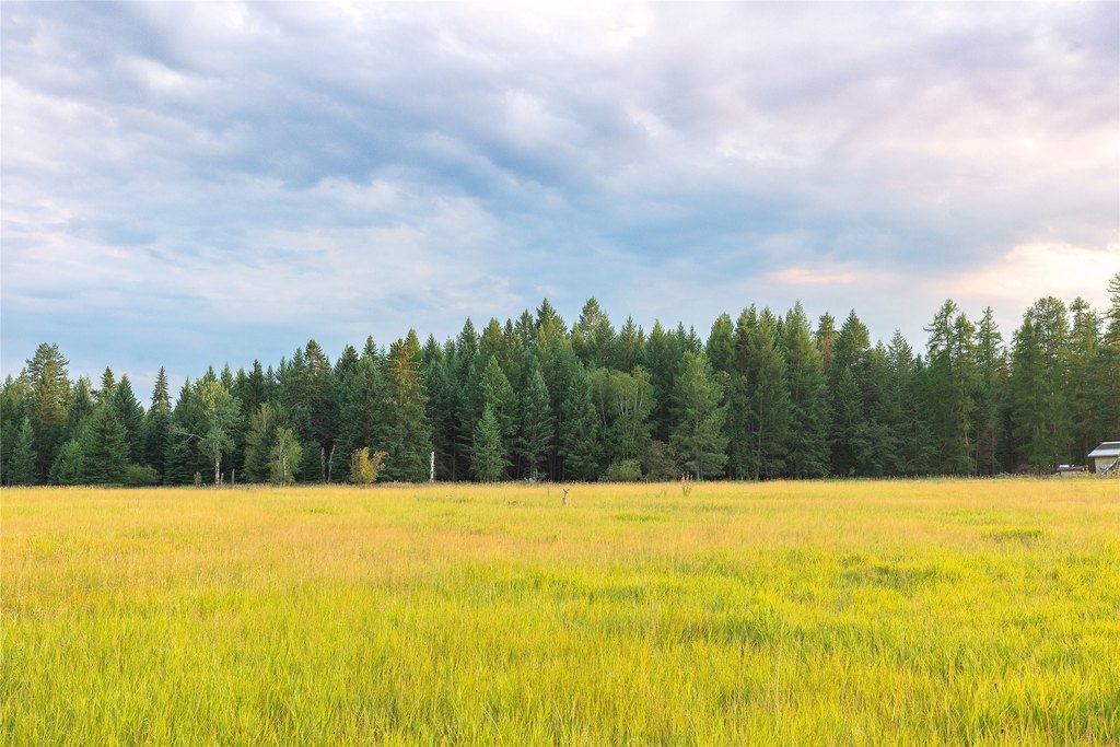 Columbia Falls, Montana, 59912, United States, ,Land,Forsale,1944321