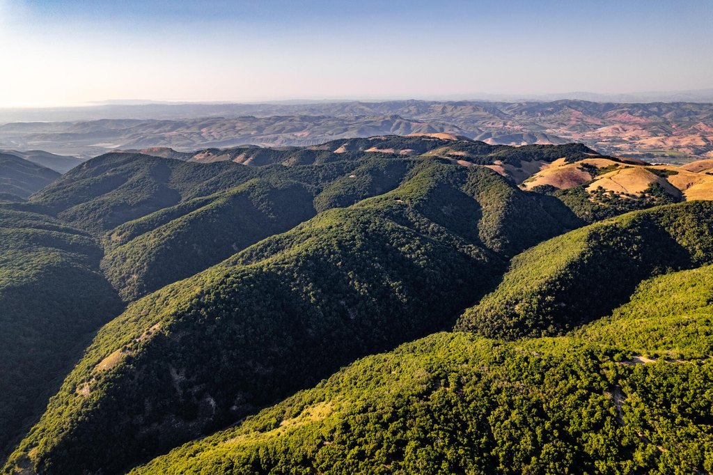 LOMPOC, California, 93436, United States, ,Commercial,Forsale,1883935