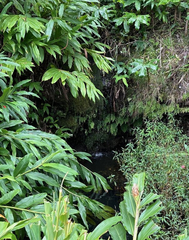 Kamuela, Hawaii, 96743, United States, 4 Bedrooms Bedrooms, ,3 BathroomsBathrooms,Residential,Forsale,1972208