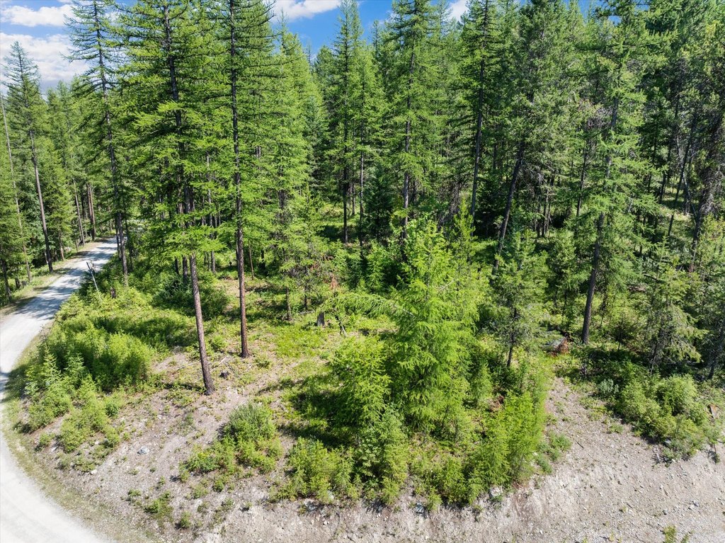 Whitefish, Montana, 59937, United States, ,Land,Forsale,1894937