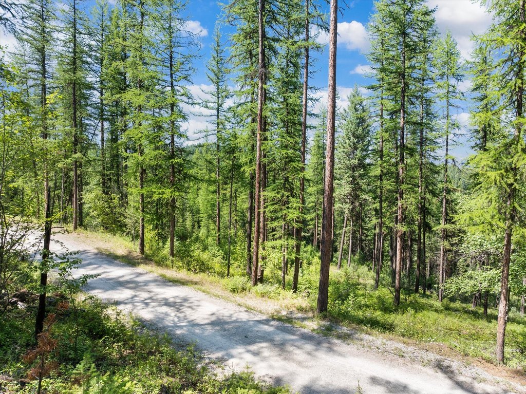 Whitefish, Montana, 59937, United States, ,Land,Forsale,1894937