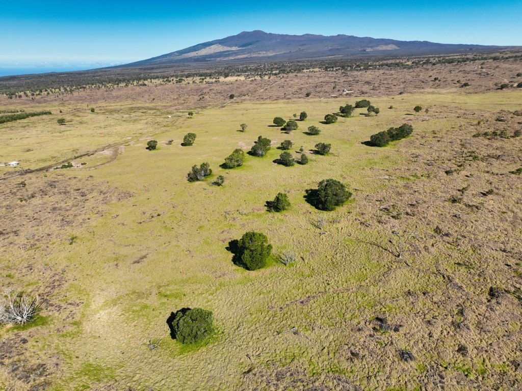 Kealakekua, Hawaii, 96725, United States, ,Land,Forsale,1953838