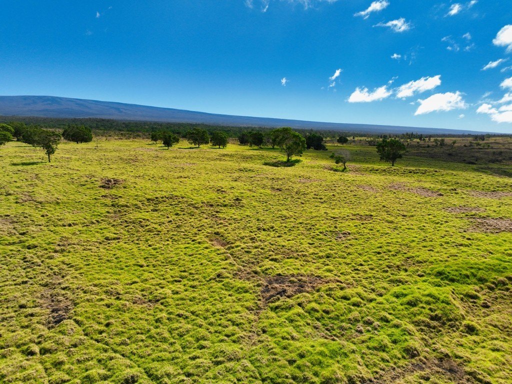 Kealakekua, Hawaii, 96725, United States, ,Land,Forsale,1953838