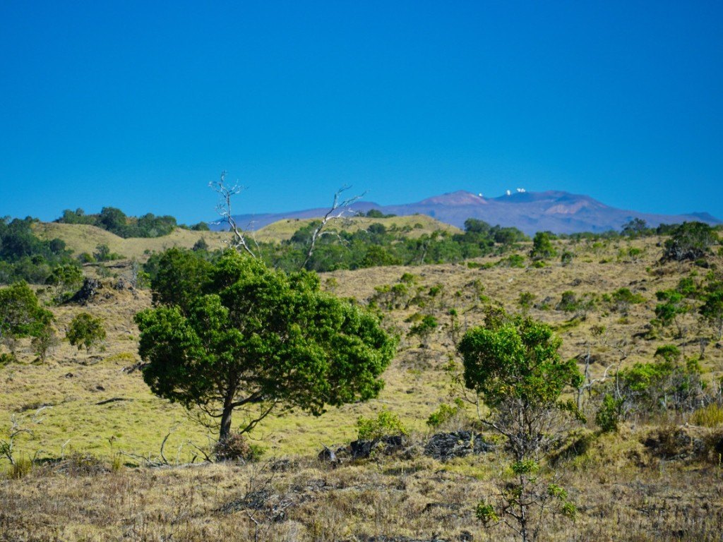 Kealakekua, Hawaii, 96725, United States, ,Land,Forsale,1953838