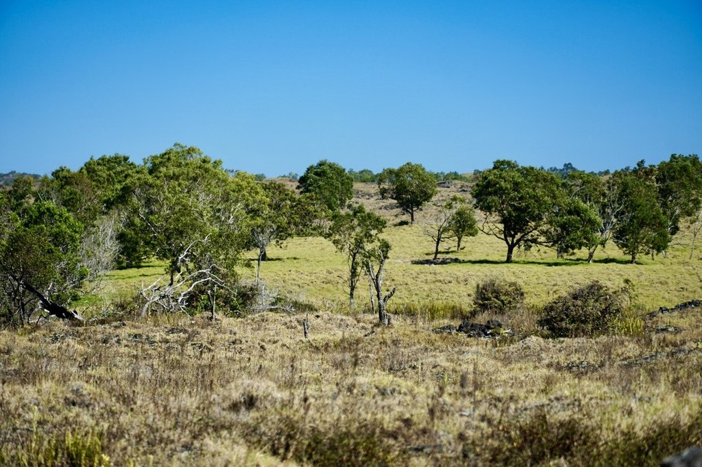 Kealakekua, Hawaii, 96725, United States, ,Land,Forsale,1953838