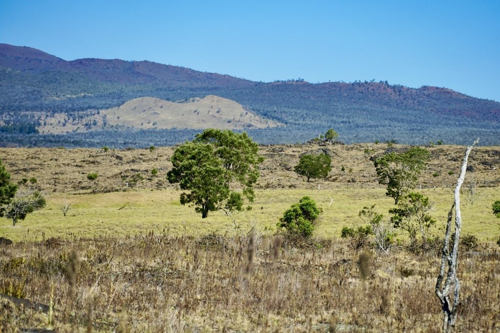 Kealakekua, Hawaii, 96725, United States, ,Land,Forsale,1953838