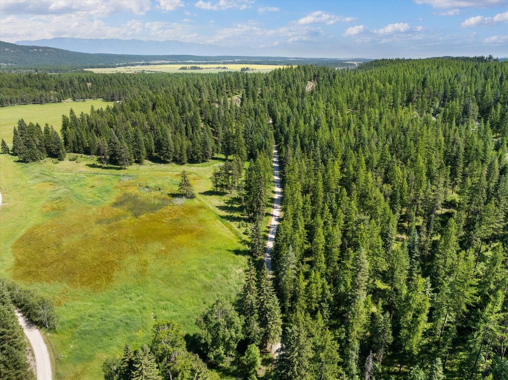 Whitefish, Montana, 59937, United States, ,Land,Forsale,1894937
