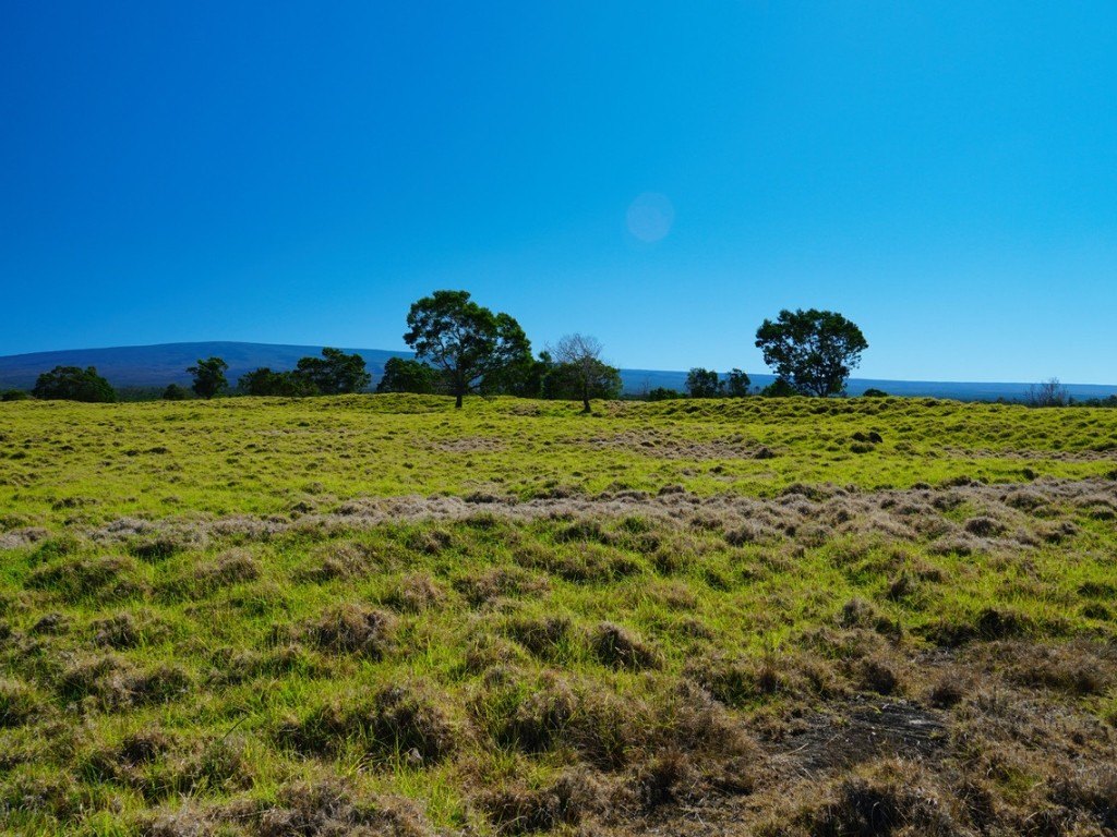 Kealakekua, Hawaii, 96725, United States, ,Land,Forsale,1953838