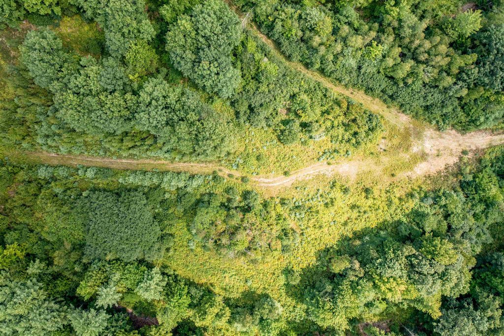 New Hampton, New Hampshire, 03256, United States, ,Land,Forsale,2002370