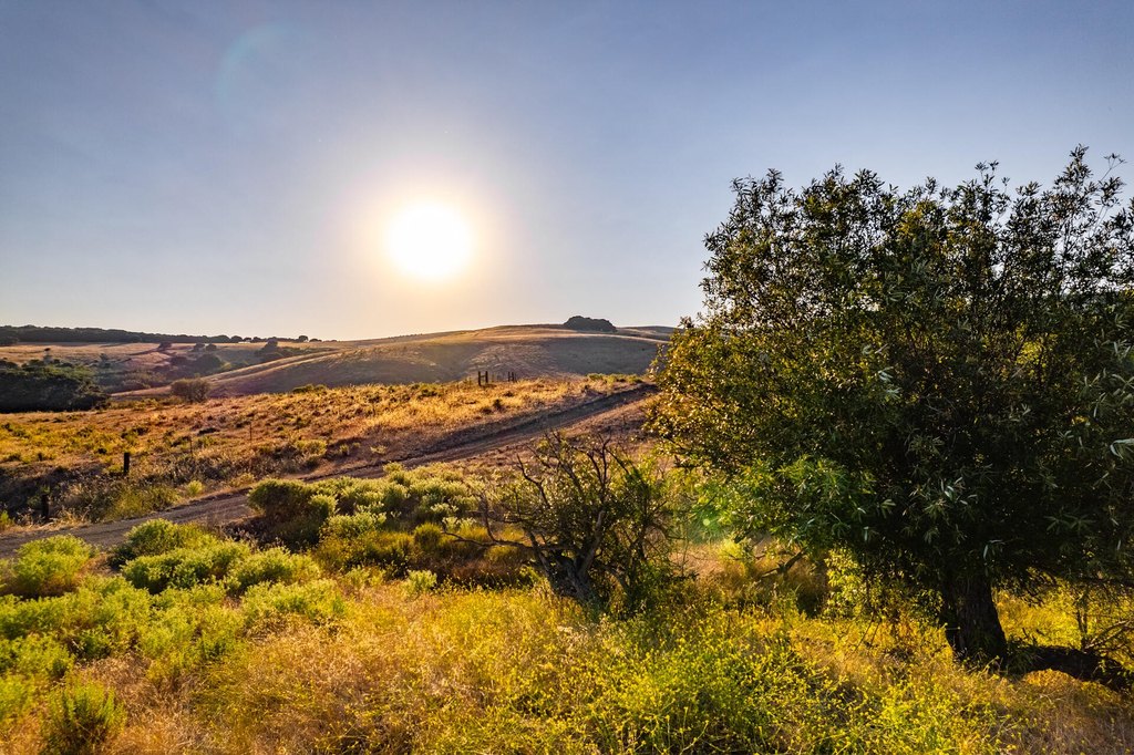 LOMPOC, California, 93436, United States, ,Commercial,Forsale,1883935