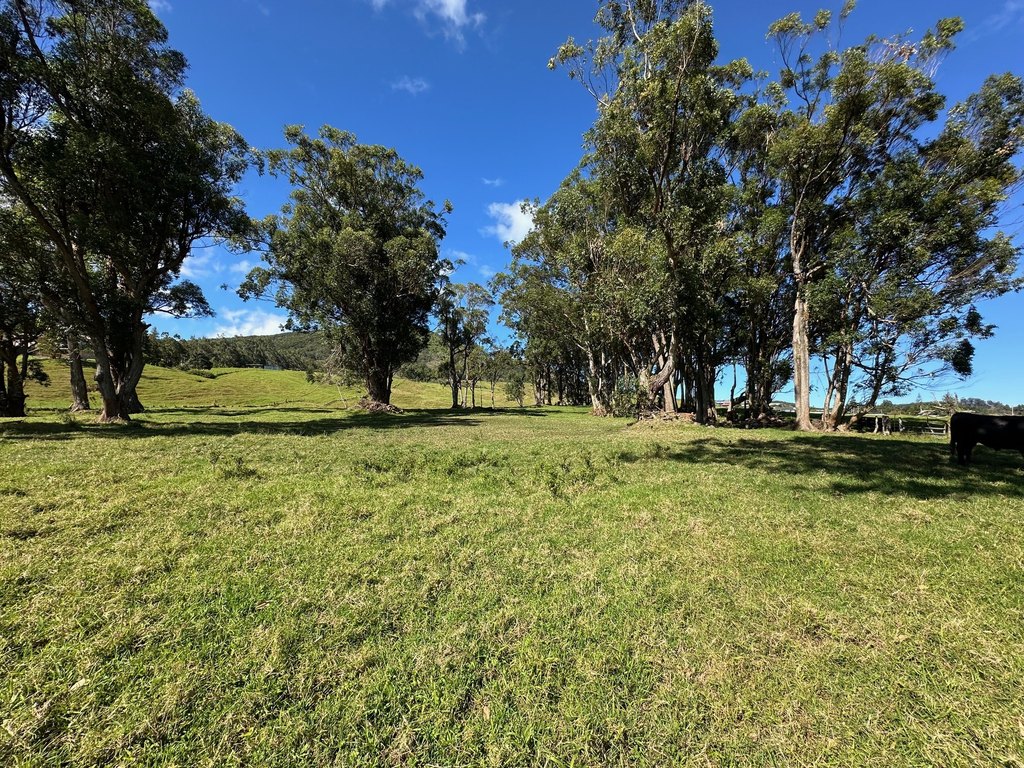 Kamuela, Hawaii, 96743, United States, 4 Bedrooms Bedrooms, ,3 BathroomsBathrooms,Residential,Forsale,1972208