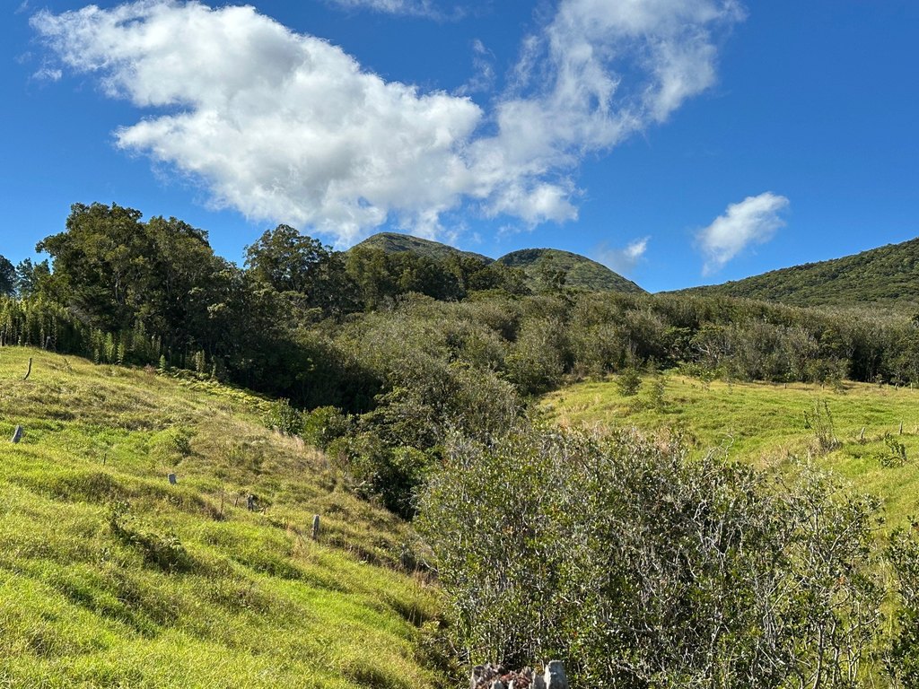 Kamuela, Hawaii, 96743, United States, 4 Bedrooms Bedrooms, ,3 BathroomsBathrooms,Residential,Forsale,1972208