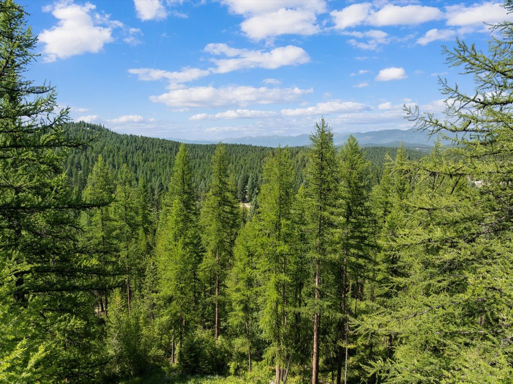 Whitefish, Montana, 59937, United States, ,Land,Forsale,1894937