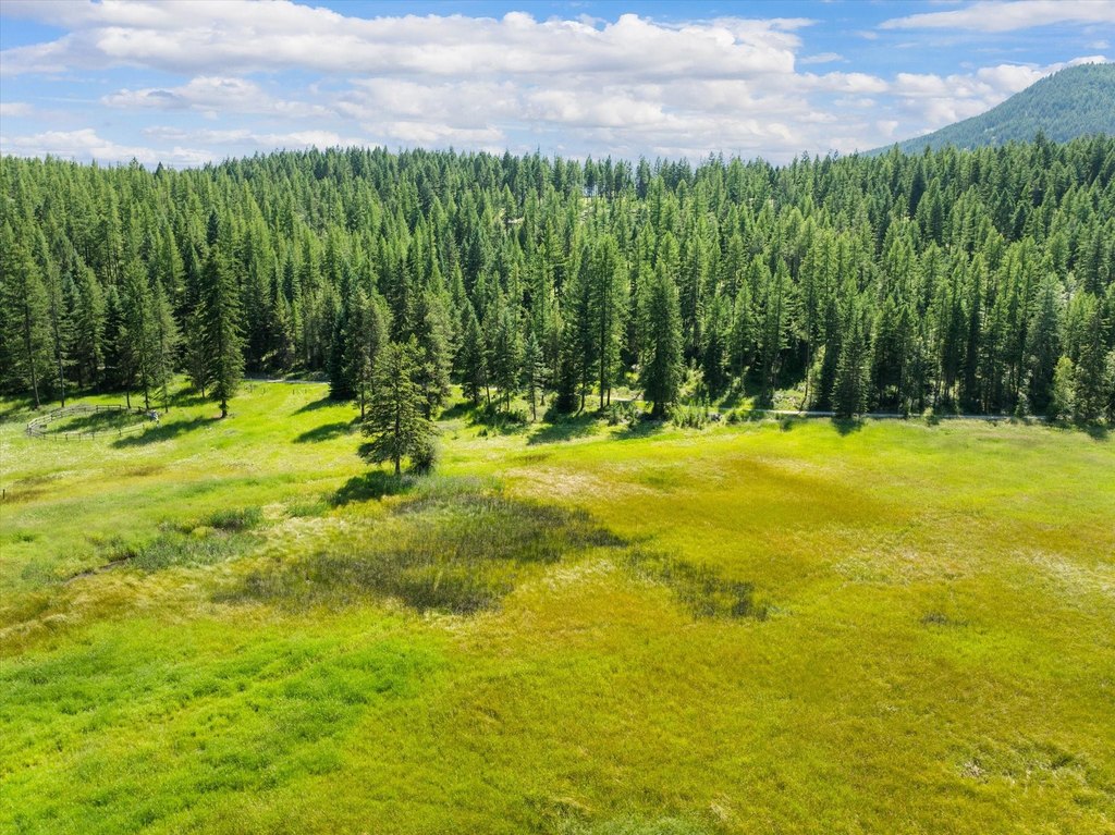 Whitefish, Montana, 59937, United States, ,Land,Forsale,1894937