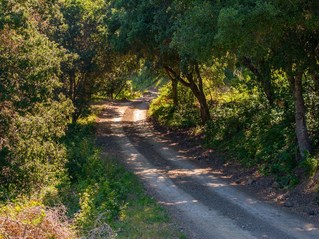 LOMPOC, California, 93436, United States, ,Commercial,Forsale,1883935