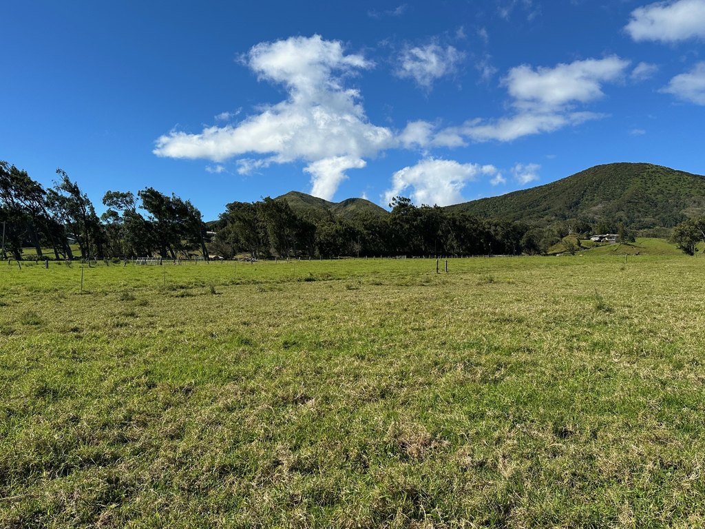 Kamuela, Hawaii, 96743, United States, 4 Bedrooms Bedrooms, ,3 BathroomsBathrooms,Residential,Forsale,1972208