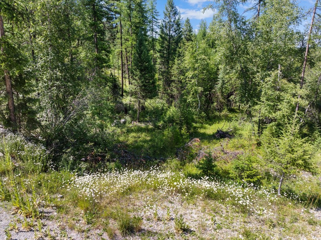 Whitefish, Montana, 59937, United States, ,Land,Forsale,1894937