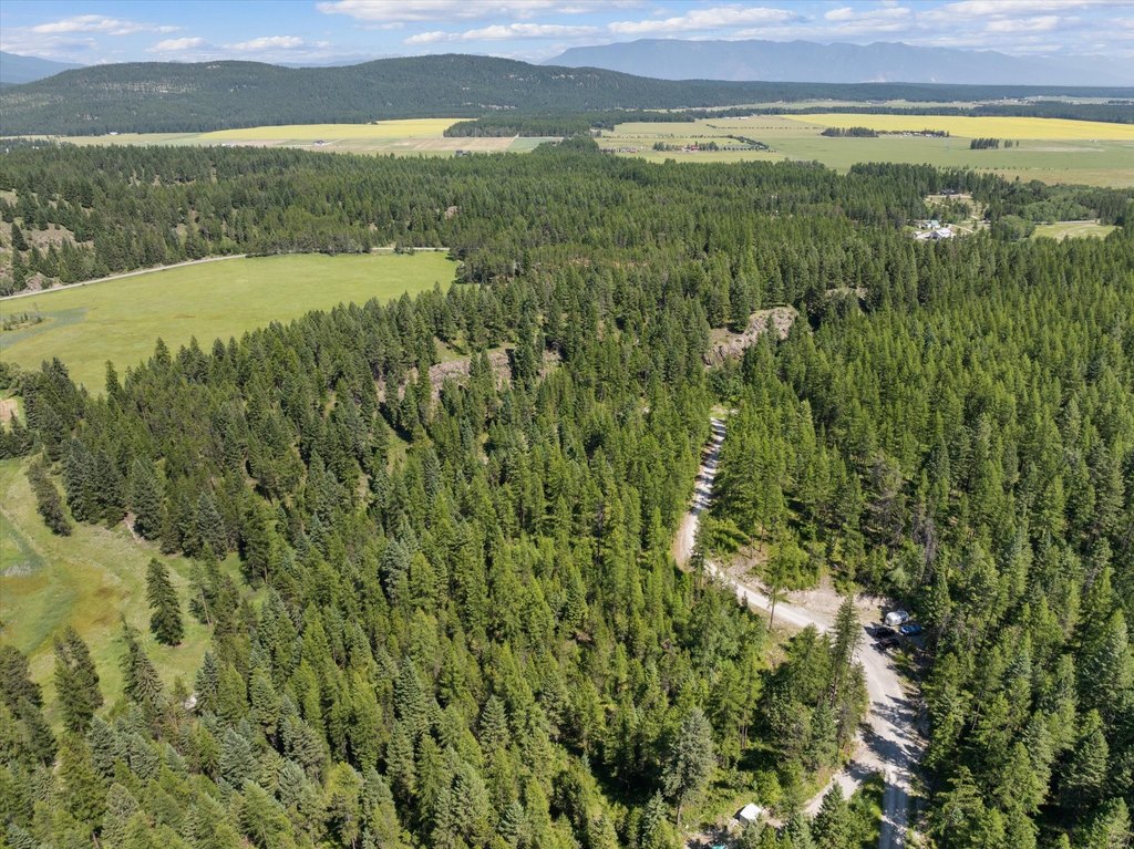 Whitefish, Montana, 59937, United States, ,Land,Forsale,1894937