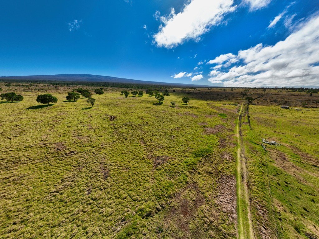 Kealakekua, Hawaii, 96725, United States, ,Land,Forsale,1953838