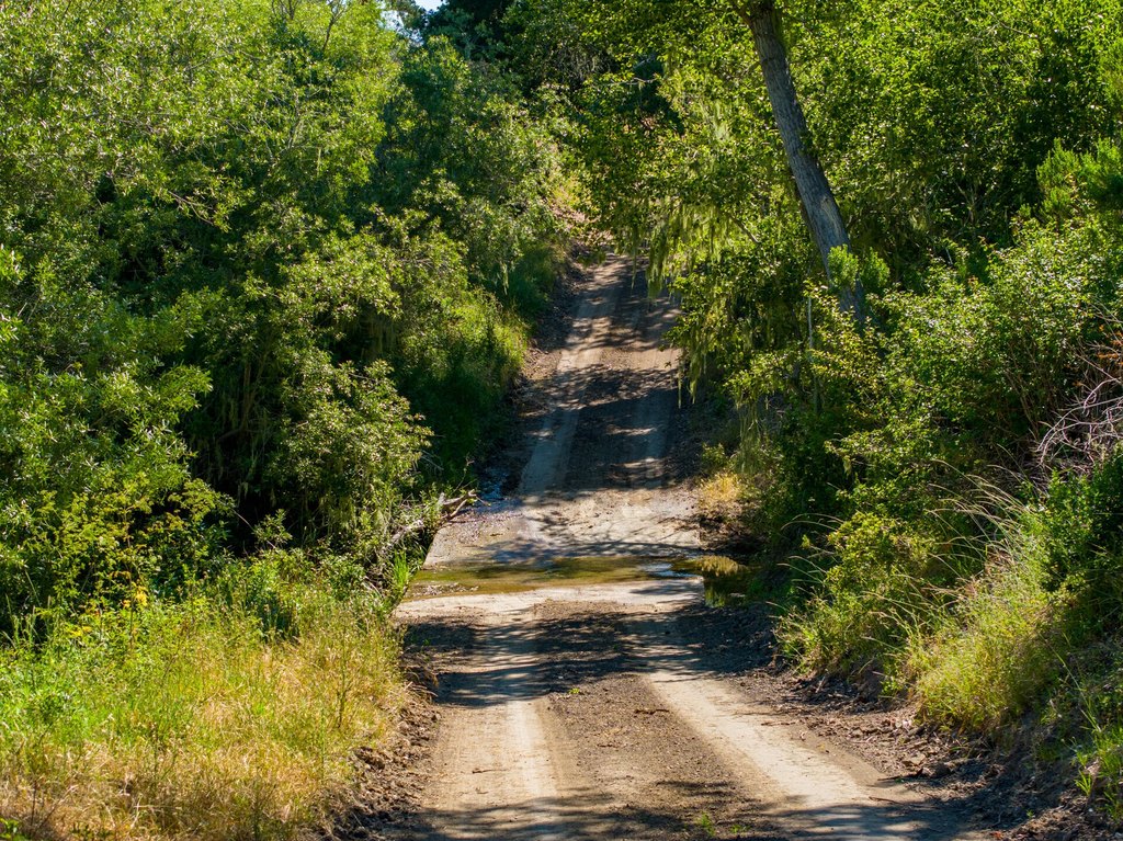 LOMPOC, California, 93436, United States, ,Commercial,Forsale,1883935