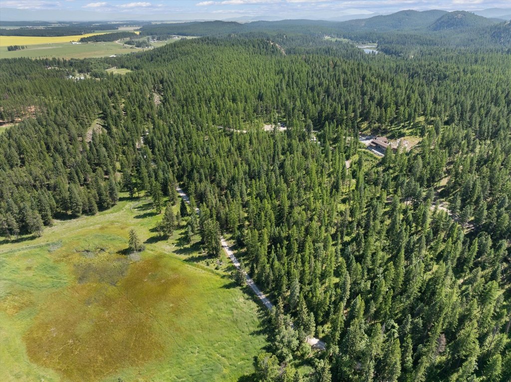 Whitefish, Montana, 59937, United States, ,Land,Forsale,1894937