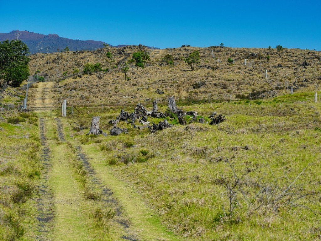 Kealakekua, Hawaii, 96725, United States, ,Land,Forsale,1953838