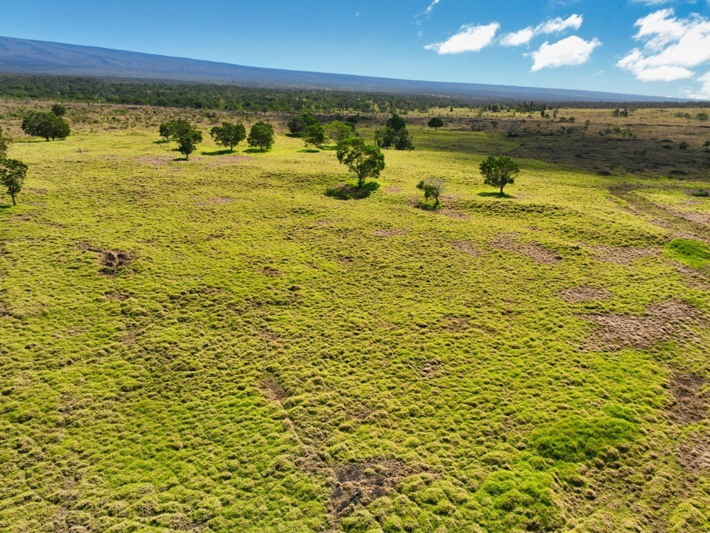 Kealakekua, Hawaii, 96725, United States, ,Land,Forsale,1953838
