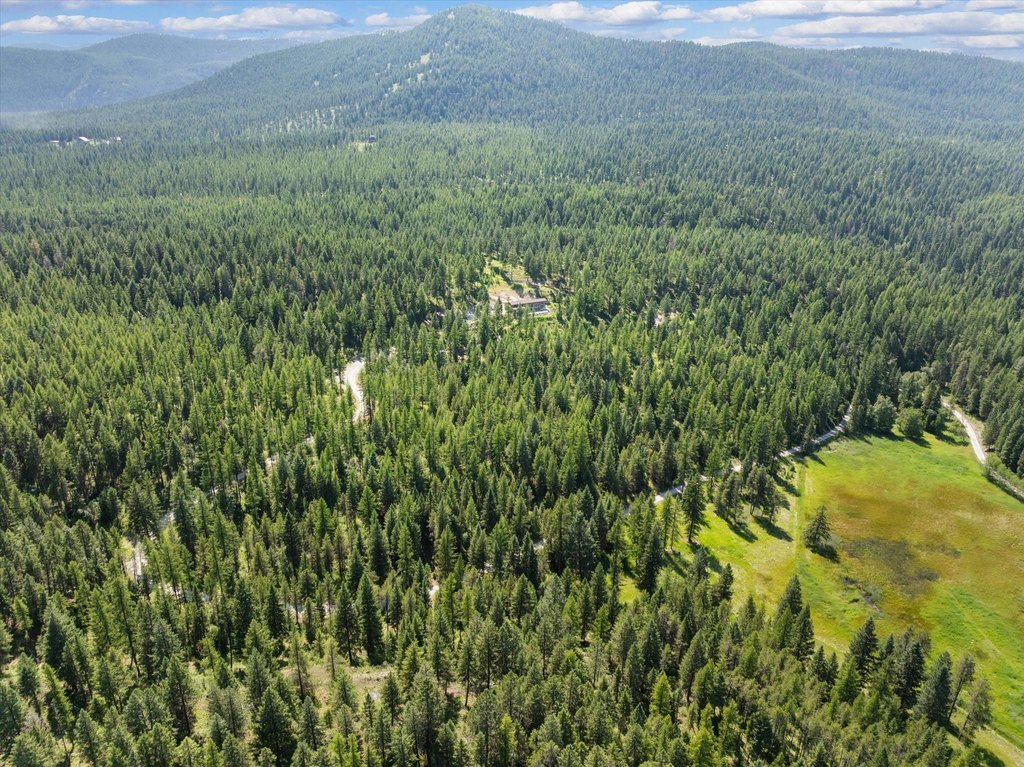 Whitefish, Montana, 59937, United States, ,Land,Forsale,1894937