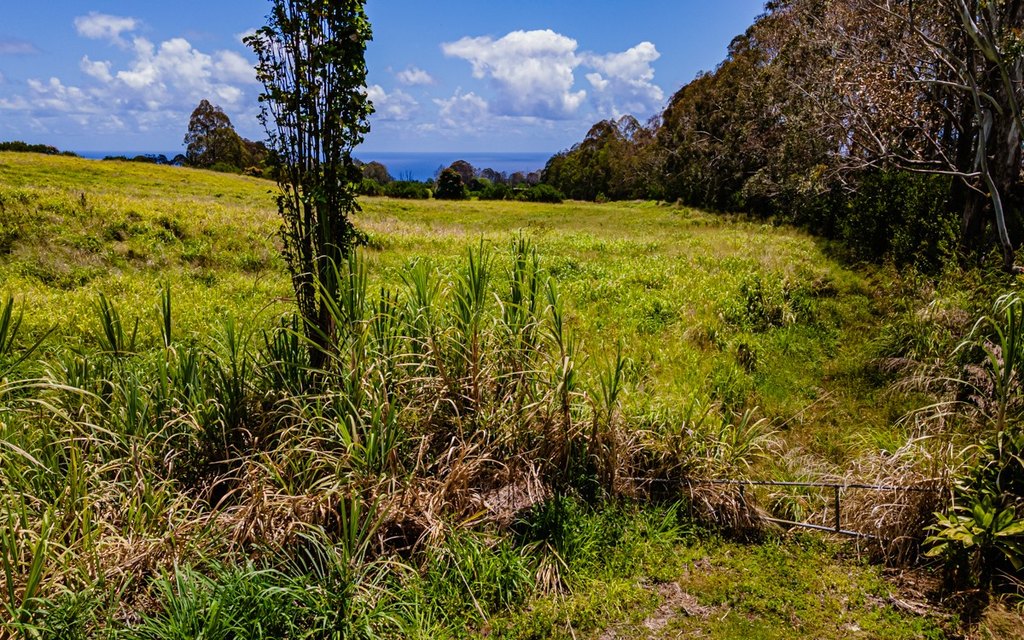 Pepeekeo, Hawaii, 96783, United States, ,Residential,Forsale,1989843