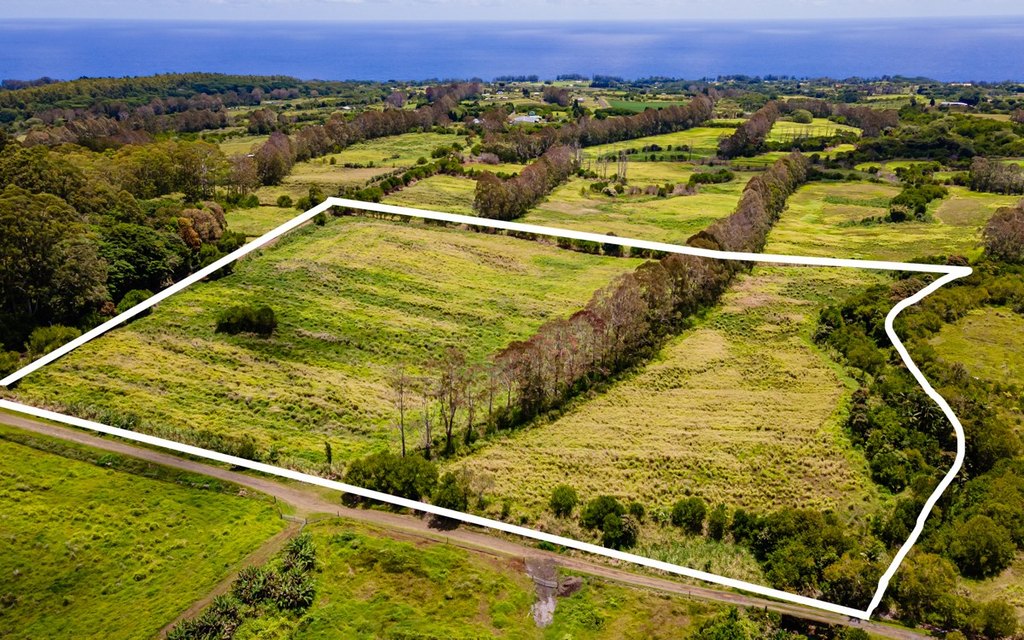 Pepeekeo, Hawaii, 96783, United States, ,Residential,Forsale,1989843