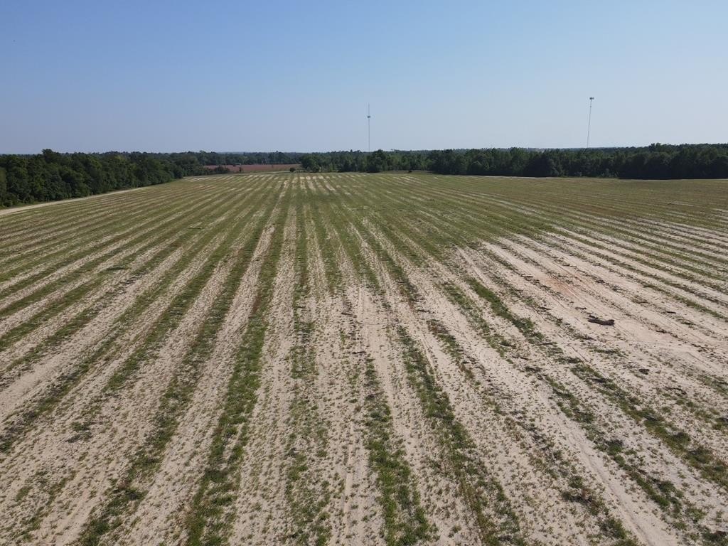 Donalsonville, Georgia, 39845, United States, ,Commercial,Forsale,1946735