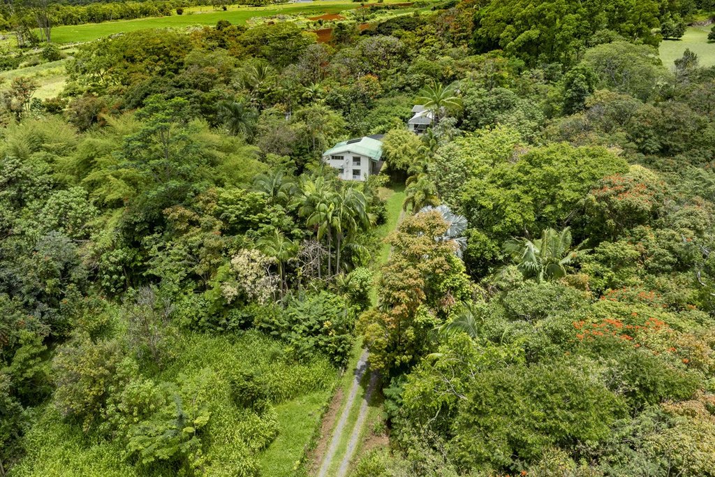 Hilo, Hawaii, 96720, United States, 2 Bedrooms Bedrooms, ,2 BathroomsBathrooms,Residential,Forsale,1929309