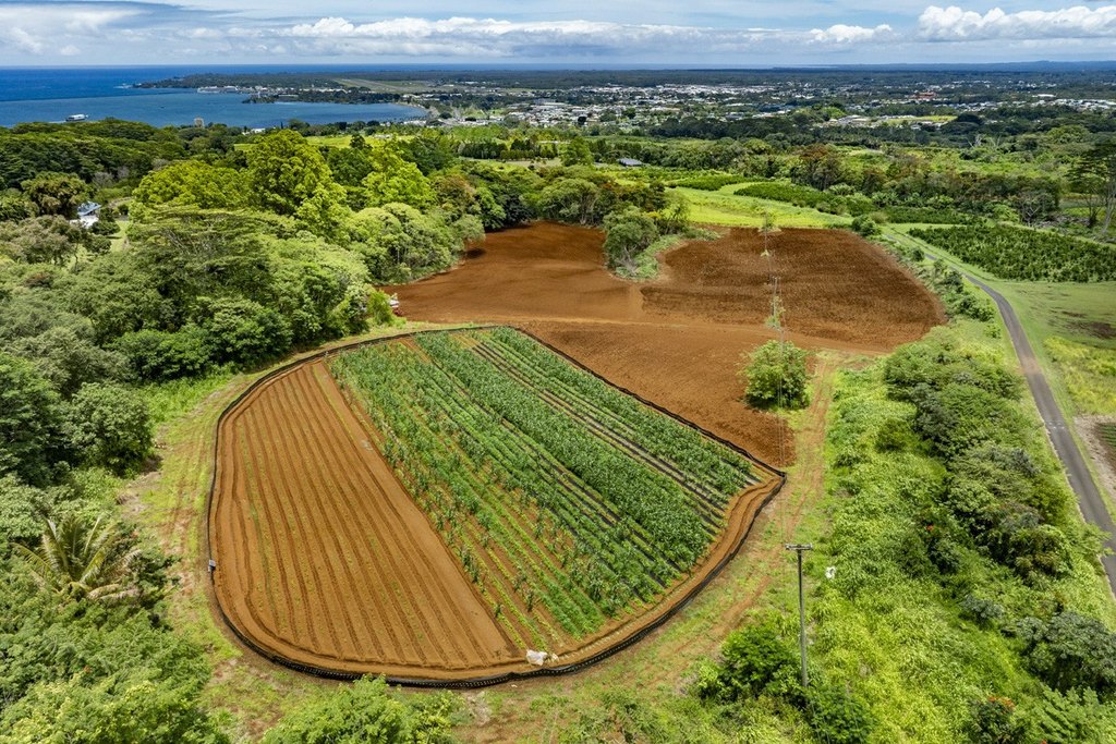 Hilo, Hawaii, 96720, United States, 2 Bedrooms Bedrooms, ,2 BathroomsBathrooms,Residential,Forsale,1929309