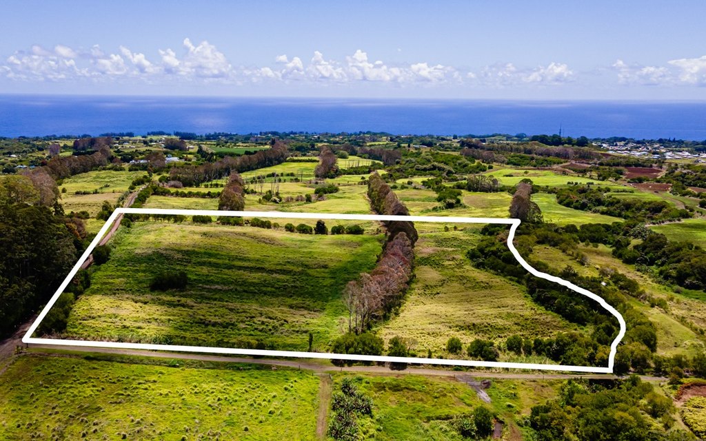 Pepeekeo, Hawaii, 96783, United States, ,Residential,Forsale,1989843