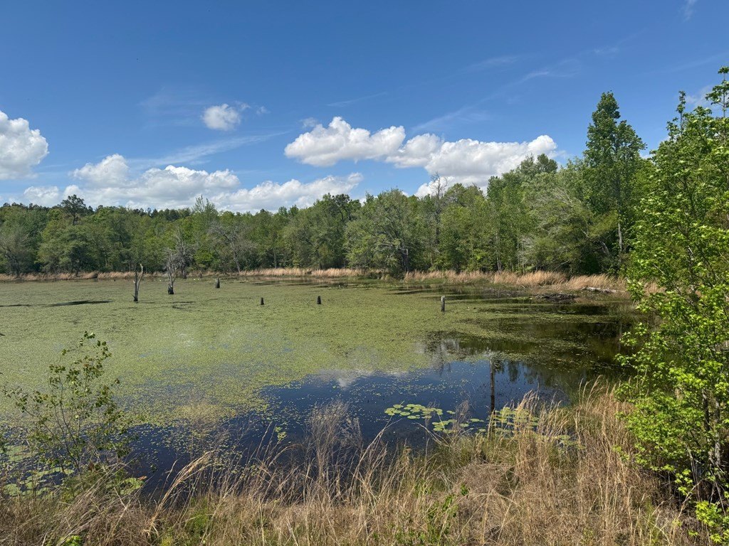 Donalsonville, Georgia, 39845, United States, ,Commercial,Forsale,1946735