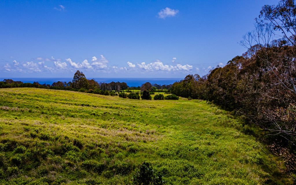 Pepeekeo, Hawaii, 96783, United States, ,Residential,Forsale,1989843