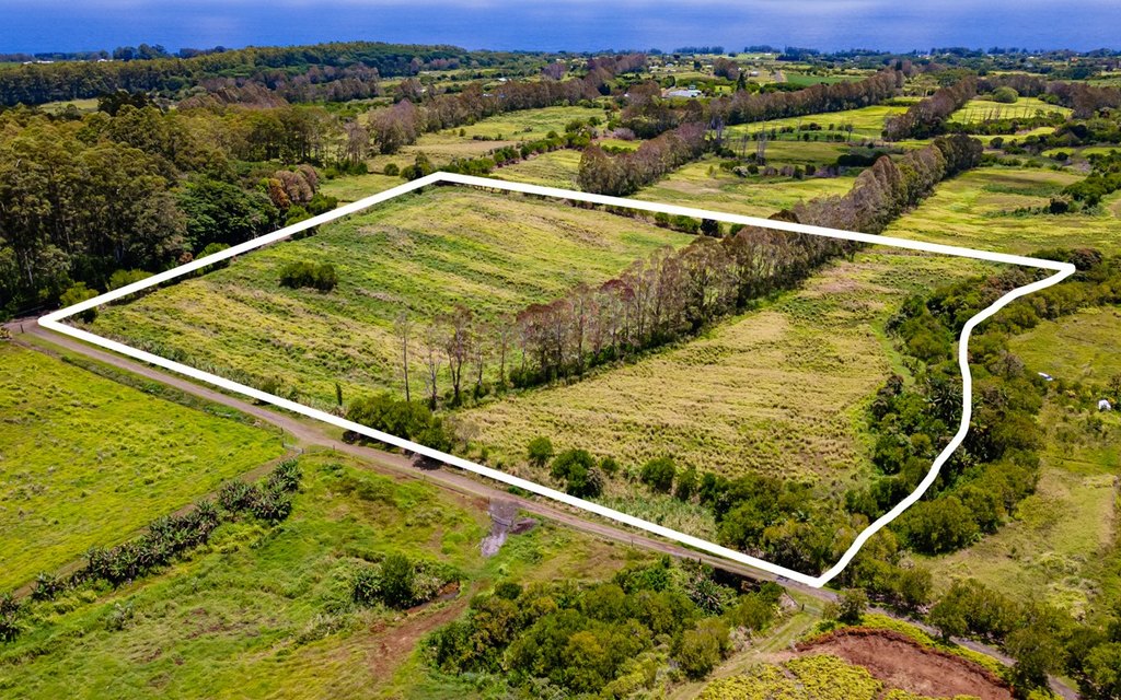 Pepeekeo, Hawaii, 96783, United States, ,Residential,Forsale,1989843