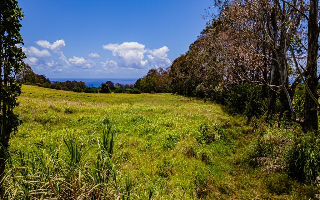 Pepeekeo, Hawaii, 96783, United States, ,Residential,Forsale,1989843