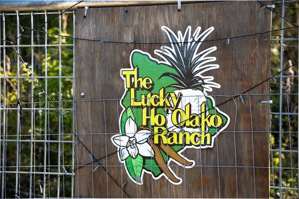 Captain Cook, Hawaii, 96704, United States, ,Land,Forsale,1886666