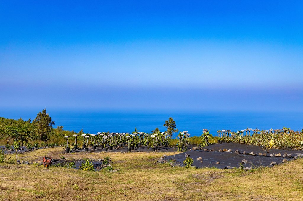 Captain Cook, Hawaii, 96704, United States, ,Land,Forsale,1886666