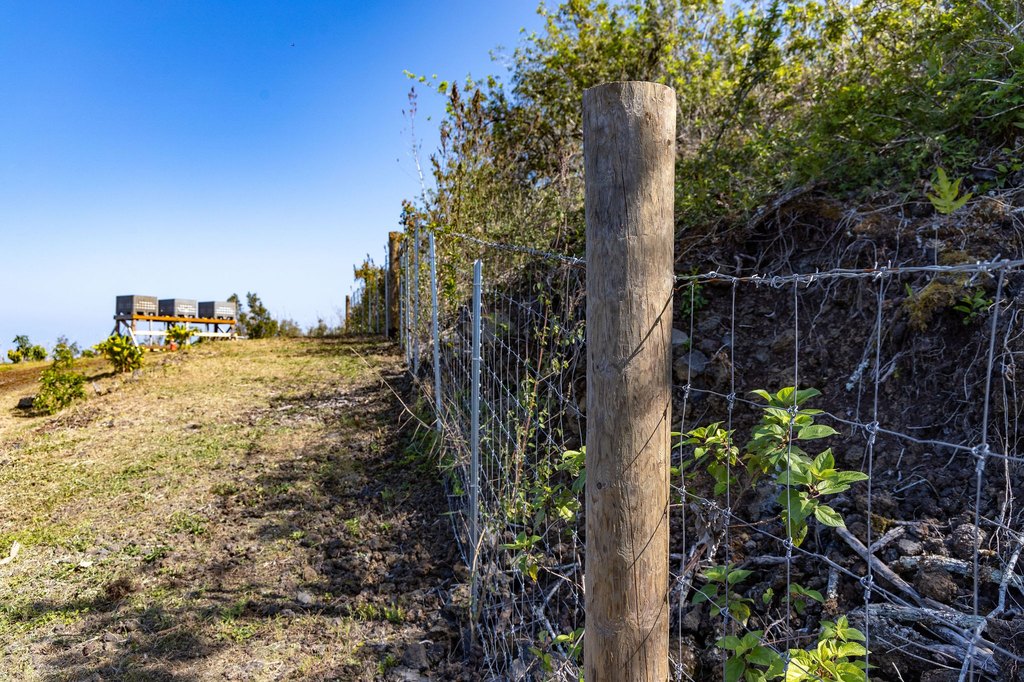 Captain Cook, Hawaii, 96704, United States, ,Land,Forsale,1886666