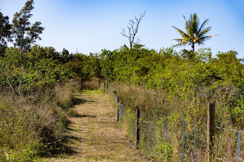 Captain Cook, Hawaii, 96704, United States, ,Land,Forsale,1886666