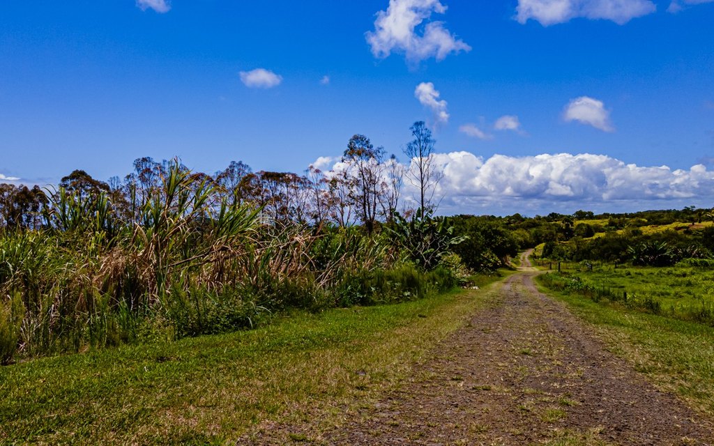 Pepeekeo, Hawaii, 96783, United States, ,Residential,Forsale,1989843